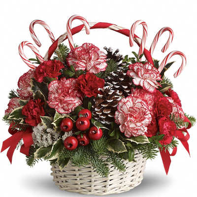 Holiday basket of red and white carnations with candy canes and pinecones