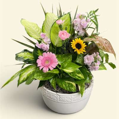 Mixed pink and yellow flowers in a white ceramic bowl planter