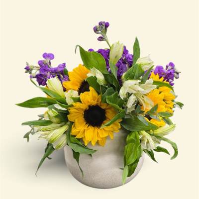 Sunflowers and purple flowers arranged in a round ceramic vase