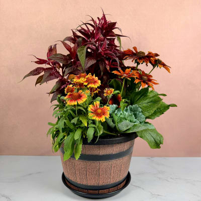 Potted arrangement of orange and yellow flowers with burgundy foliage in a wooden-look container
