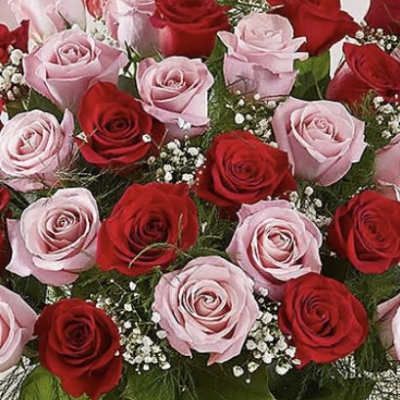 Bouquet of red and pink roses in a clear glass vase