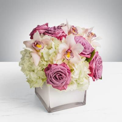 Pop of Lavender by BloomNation™