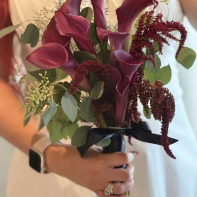 Bouquet of burgundy calla lilies with eucalyptus