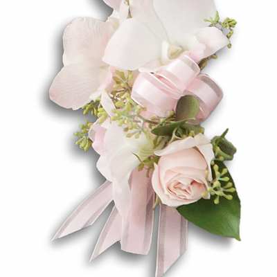 Light pink corsage with roses, an orchid bloom, and looping pink ribbon accents