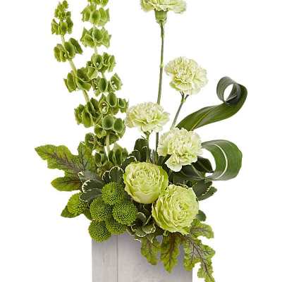 Tall modern arrangement of green carnations, mums, and bells of Ireland in a square cube vase