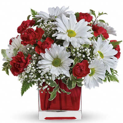Red and white arrangement with daisies and carnations in a red glass cube vase