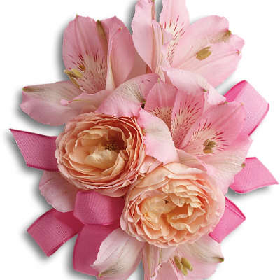 Pink corsage with peach roses and pink alstroemeria accented by bright pink ribbon