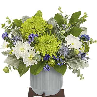 Compact arrangement of green spider mums, white mums, and purple accents in a gray pot on a wooden stand