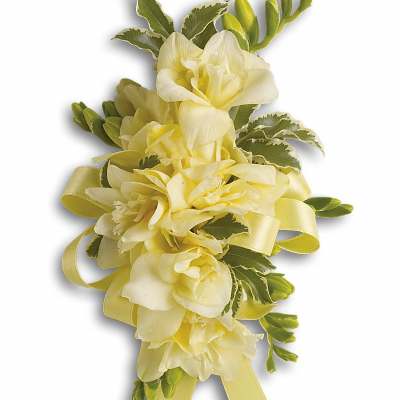 Yellow freesia corsage with variegated foliage and yellow ribbon