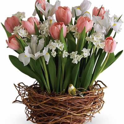Pink tulips with white irises and small white blooms in a twig nest basket with a tiny bird figurine.