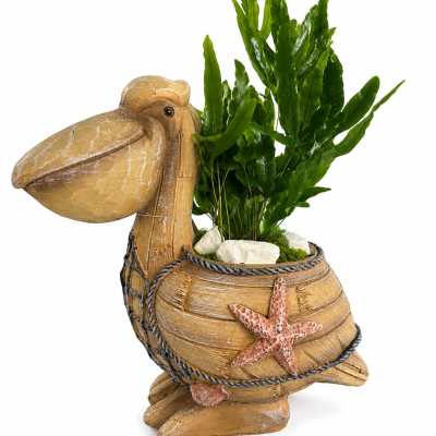 Pelican-shaped planter with green foliage and white stones
