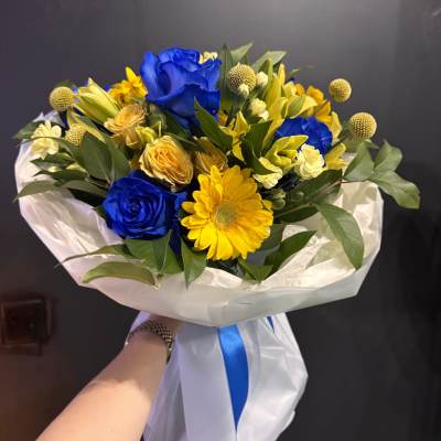 Golden Blue Harmony