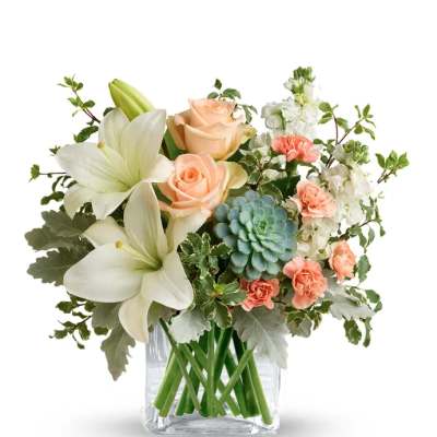 Southern Peach