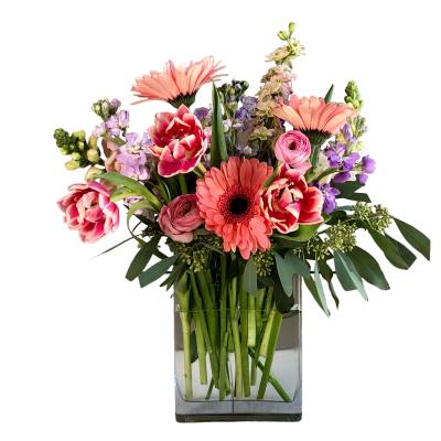 Spring In Bloom