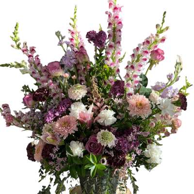 Purple Sympathy