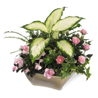 The FTD Garden of Grace Planter