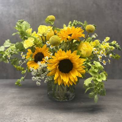 Summertime Sunshine