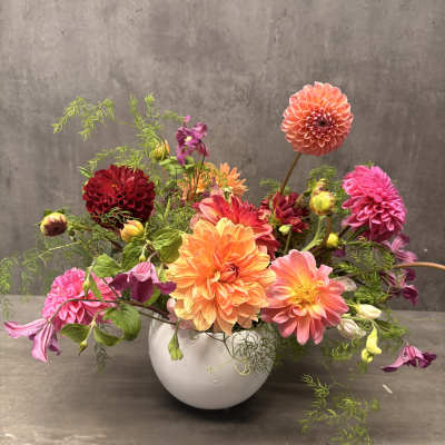 Colorful dahlia arrangement in a white vase