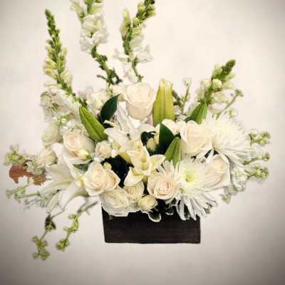 Ivory Grace