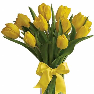 Yellow tulips in a clear glass vase with a yellow ribbon