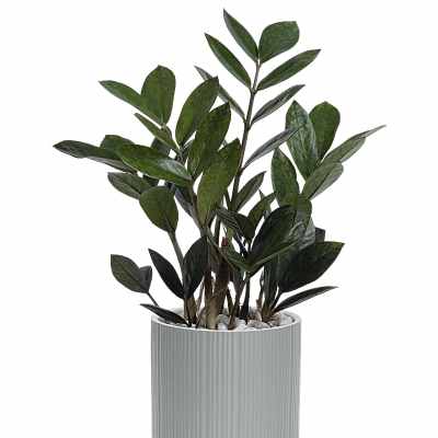 Potted green plant in a ribbed gray planter on a stand