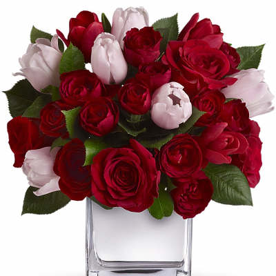 Red and pale pink roses arranged in a clear square vase