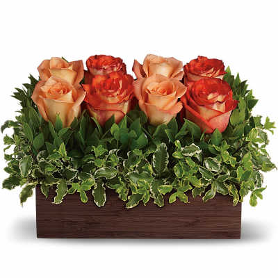 Six peach and orange roses in a rectangular wooden planter