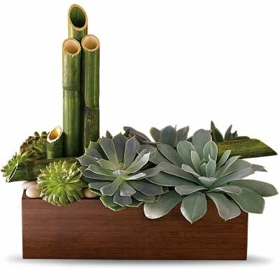 Succulent arrangement in a wooden box with bamboo stalks