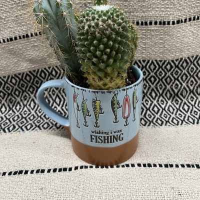 Two small cacti in a light blue mug with fishing graphics