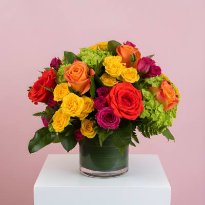Summer Blooms