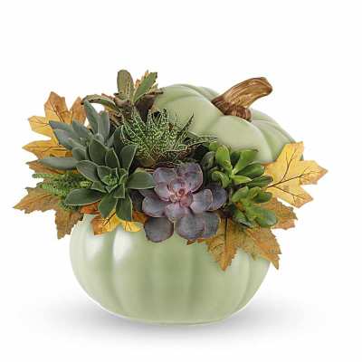 Succulent arrangement in a pale green pumpkin-shaped container with autumn leaves