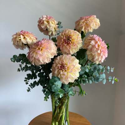 Peach-pink dahlias in a clear glass vase with eucalyptus