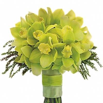 Green orchid bouquet wrapped with ribbon