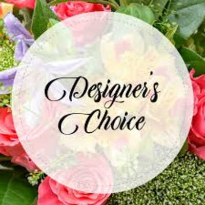 Designer's Choice - Large