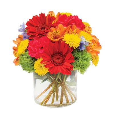 Bright mixed bouquet of gerbera daisies and mums in a clear glass vase