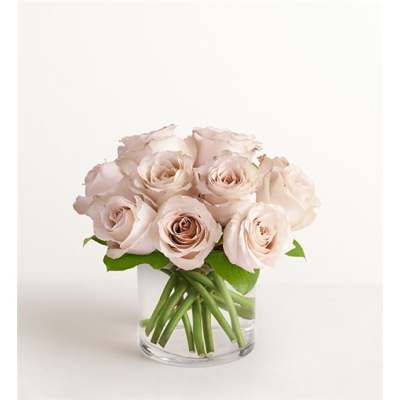 Pale blush roses arranged in a clear glass vase