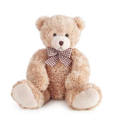 Plush teddy bear with a checkered bow on a white background