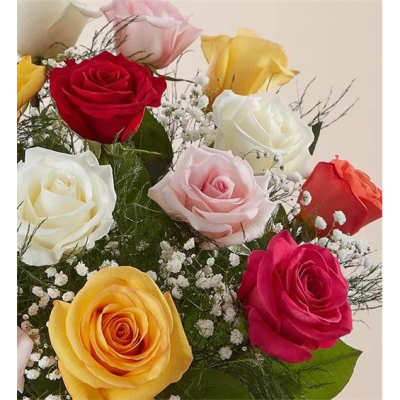 Bouquet of multicolored roses with baby's breath