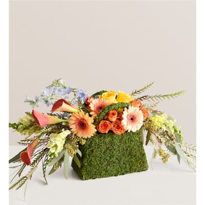 Floral arrangement in a moss-covered rectangular container with orange and pink blooms