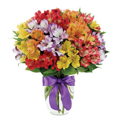 Colorful bouquet of alstroemeria in a clear glass vase with a purple ribbon