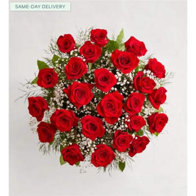 Bouquet of red roses with baby's breath
