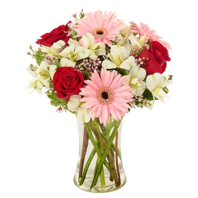 Pink gerbera daisies, red roses, and white alstroemeria in a clear glass vase