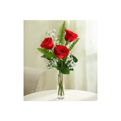 Three red roses in a clear glass vase with white filler flowers