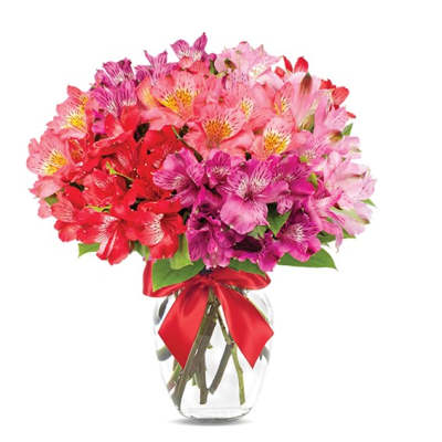 Bouquet of pink and red alstroemeria in a clear glass vase with a red ribbon