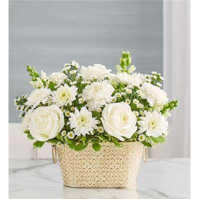 White roses and daisies arranged in a decorative cream container