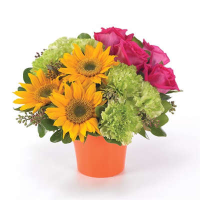 Sunflowers and pink roses in an orange pot