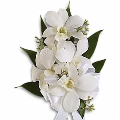 White orchid bouquet with ribbon on a white background