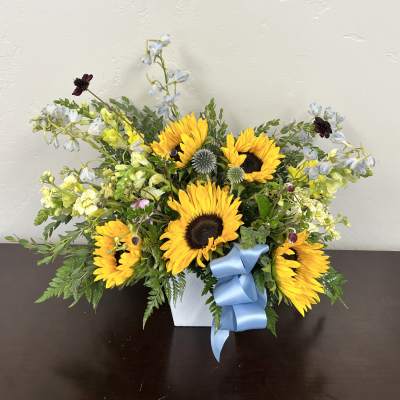 Sunflower arrangement in a white square vase with a blue ribbon