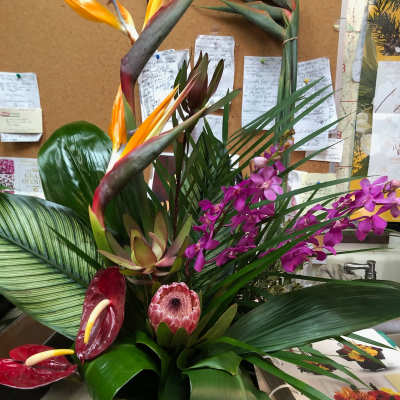 Tropical arrangement with bird of paradise, orchids, and anthuriums