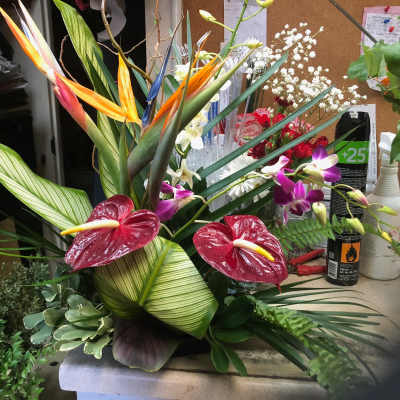 Tropical floral arrangement with bird of paradise and orchids